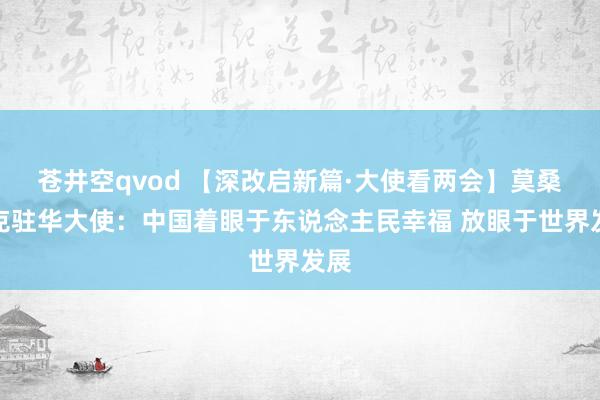 苍井空qvod 【深改启新篇·大使看两会】莫桑比克驻华大使：中国着眼于东说念主民幸福 放眼于世界发展
