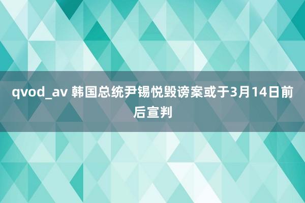 qvod_av 韩国总统尹锡悦毁谤案或于3月14日前后宣判