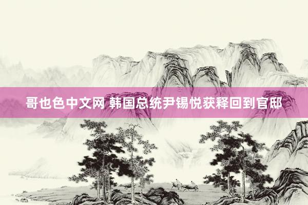 哥也色中文网 韩国总统尹锡悦获释回到官邸