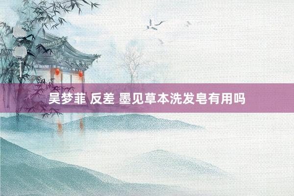 吴梦菲 反差 墨见草本洗发皂有用吗