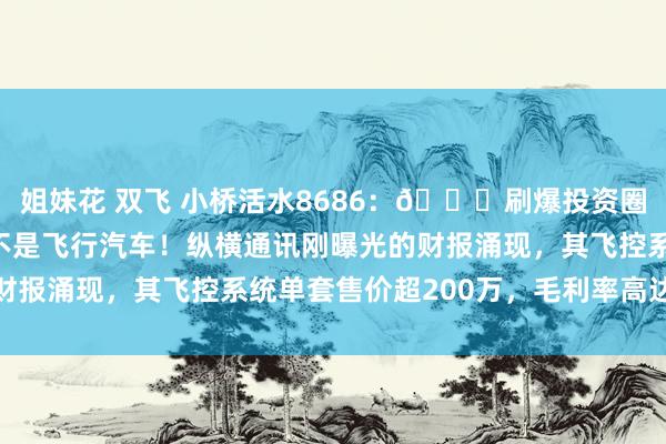 姐妹花 双飞 小桥活水8686：🚁刷爆投资圈的「空中印钞机」竟不是飞行汽车！纵横通讯刚曝光的财报涌现，其飞控系统单套售价超200万，毛利率高达68%