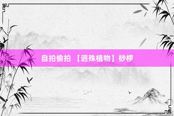 自拍偷拍 【迥殊植物】桫椤