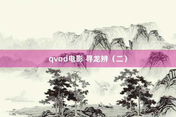 qvod电影 寻龙辨（二）