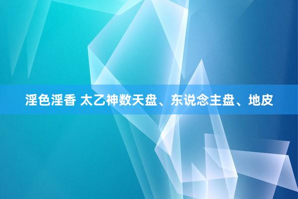 淫色淫香 太乙神数天盘、东说念主盘、地皮